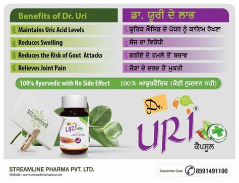 Uric Acid Herbal Medicine Streamline Pharma Pvt Ltd Capsules At Rs