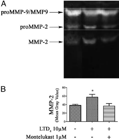 Synthesis Of CysLTs And LTB 4 In Human AAA Homogenates Of Human AAA