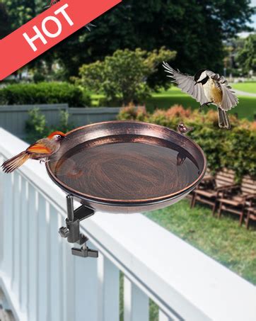 Amazon Qipade Inches Deck Mounted Bird Bath Feeder Bowlmetal