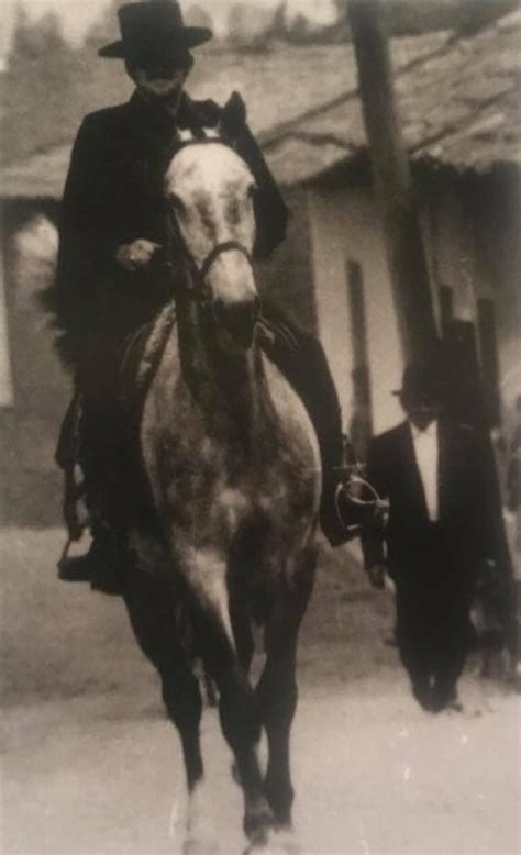 Así fue como Hugo Serrano trajo la Cacería del Zorro a Ibarra Diario