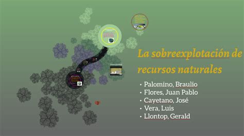 La Sobreexplotación De Recursos Naturales By José Cayetano