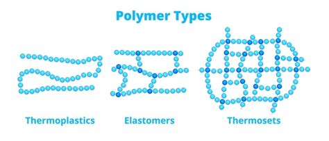 dna linear polymer royalty  images stock  pictures