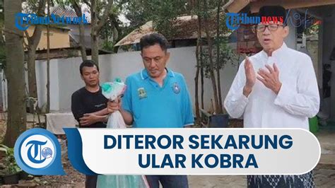 Rumah Wahidin Halim Diteror Sekarung Ular Kobra Saat Hendak Menerima