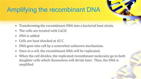 Recombinant Dna Technology Ppt