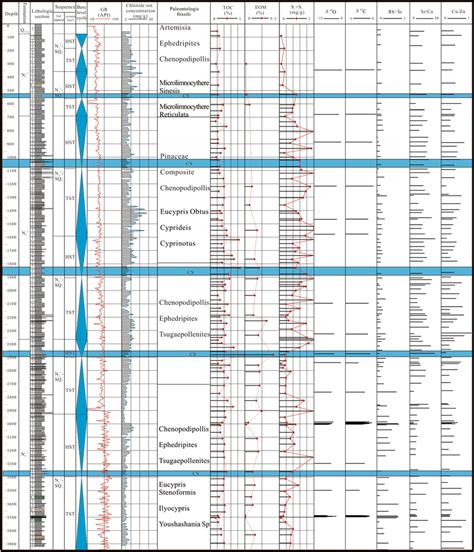 Sequence Stratigraphy And System Tract Classification Organic Matter