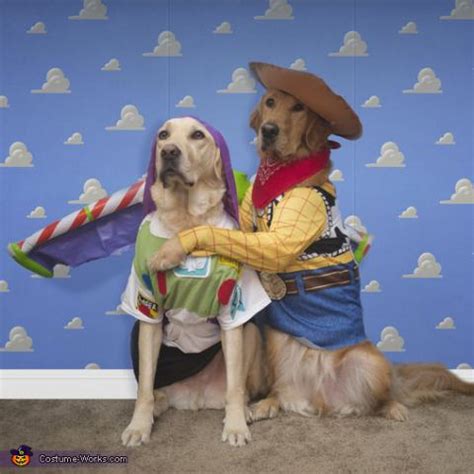 20 DIY Golden Retriever Halloween Costumes You Can Make Today! (With Pictures) – Dogster