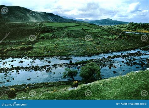 Kerry Landscape Eire Stock Photo Image Of Flower Ireland 177286