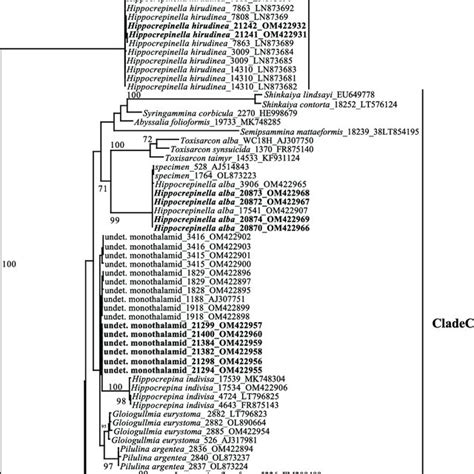 Phyml Phylogenetic Tree Based On The End Fragment Of The Ssu Rrna