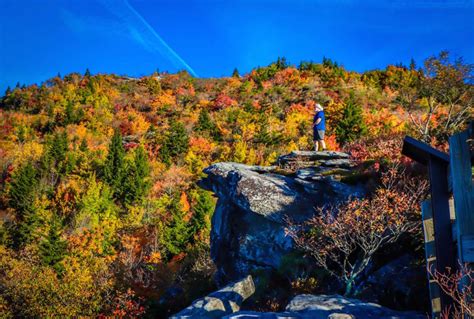 The 20 Best North Carolina Hiking Trails - Blue Ridge Mountains Travel ...