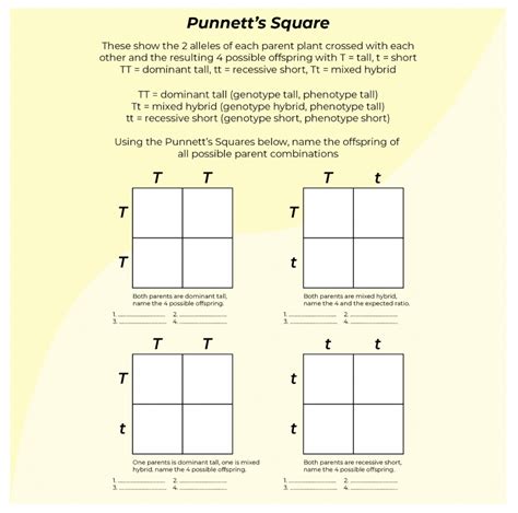 9 Hands-On Worksheet Punnett Square Worksheet - The Teach Simple Blog - Worksheets Library