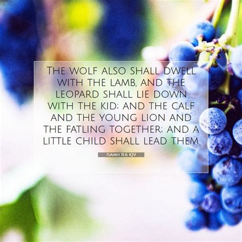 Isaiah 116 Kjv Bible Verse Images