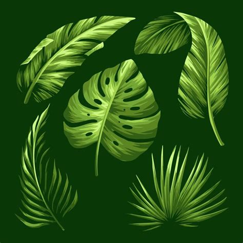 Un Conjunto De Hojas Tropicales Sobre Un Fondo Verde Vector Premium