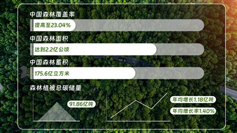 森林：大自然的储碳大户营口市林业和草原局