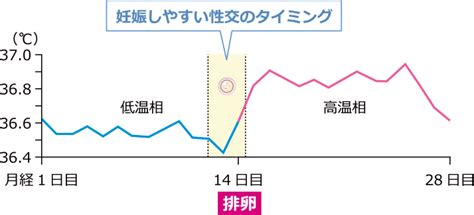 【不妊治療専門医直伝】タイミング療法と効率の良い子作りのコツ かっつんログ