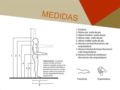 Ergonom A Antropometr A Ppt Descarga Gratuita