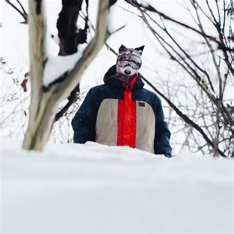 Animal Facemask Raccoon Ski Mask Beardo®