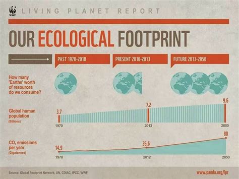 Infographic Our Ecological Footprint Ecological Footprint Millenium Development Goals