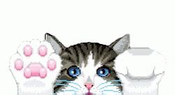 Cat Paws Sticker - Cat Paws Kitty - Discover & Share GIFs