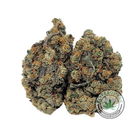 Buy QUAD MIXER 4X 7G Online Elite Buds BC