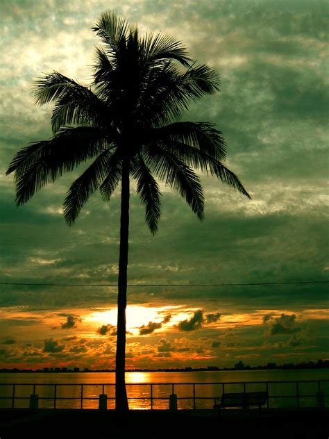 Bench By The Bay Sunrise By Biscayne Bay Miami Shores Fl Alex De