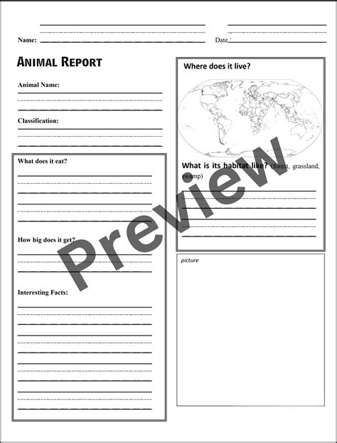 Animal Report Template Third Grade 4