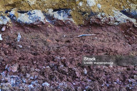 gambar lapisan tanah bawah tanah foto stok  gambar