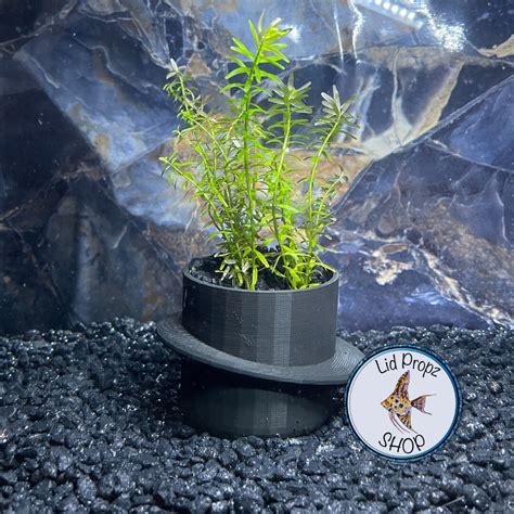 Aquarium Pots for Aquarium Plants, Clean Planted Aquariums, Beginner ...