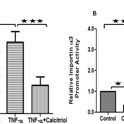 Effect Of Calcitriol On Tnf Induced Rela A And Importin B