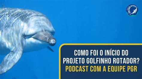 Como Foi O In Cio Do Projeto Golfinho Rotador Podcast Golfinhos De