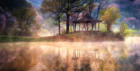 Wallpaper Sunlight Trees Landscape Lake Water Nature Reflection