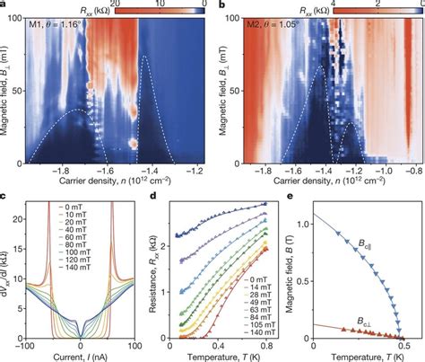 Magnetic Field Response Of The Superconducting States In Magic Angle