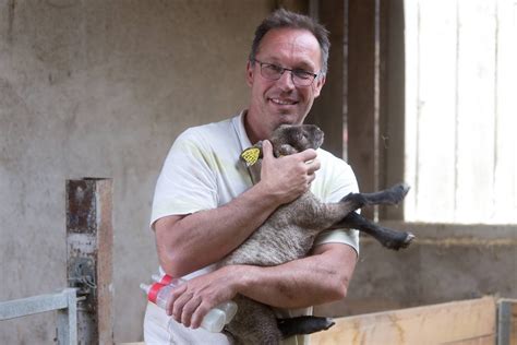 Auxois Un Leveur De Moutons Investit Pour Se Prot Ger Des Attaques