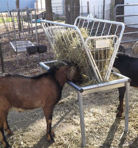 Noah L And Sue A Goddard Home Made Hay Feeder Hay Feeder Goat Playground Goat Feeder