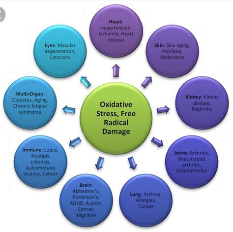 Stress Lupus Flares Lupus And Stress Triggers Prevention And