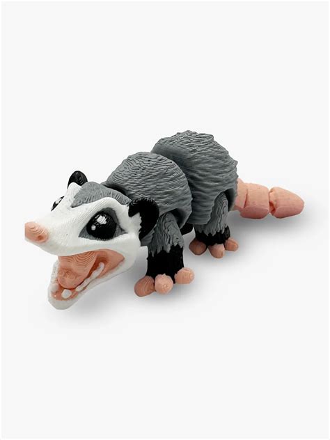 biggest opossum 3