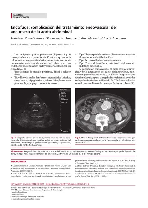 Pdf Endofuga Complicaci N Del Tratamiento Endovascular Del Aneurisma