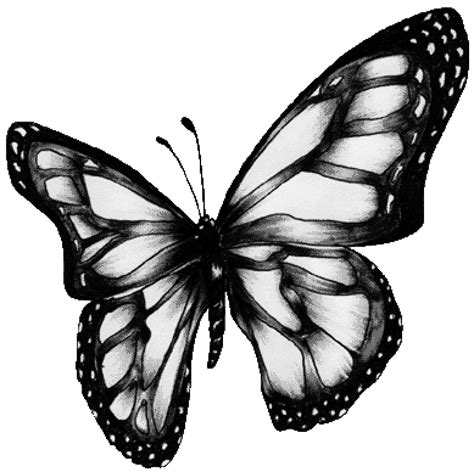 Top 75 Imagen Dibujos De Mariposas A Lapiz En 3d Ecover Mx Riset