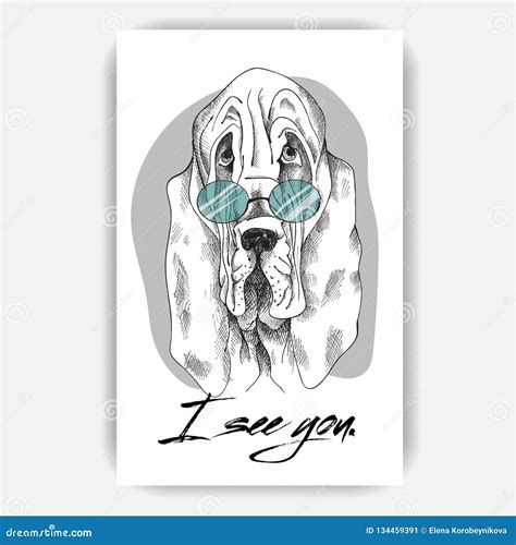 Sad Dog Basset Hound Stock Illustration Illustration Of Drawn 134459391