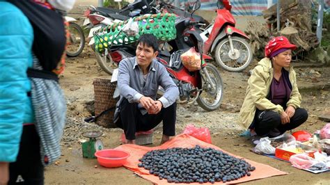 Full Video Days Build Life Harvesting Palm Fruit Tree Core Goes