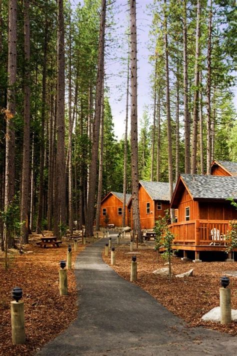 Yosemite Lodging In 2024 Best Lodges Cabins And Camping Yosemite