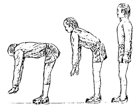 chest drops theory  exercise