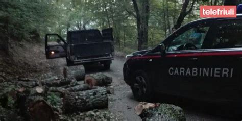 Boscaiolo Travolto Da Un Albero