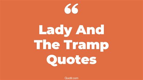 3+ Eye-Opening Lady And The Tramp Quotes That Will Inspire Your Inner Self