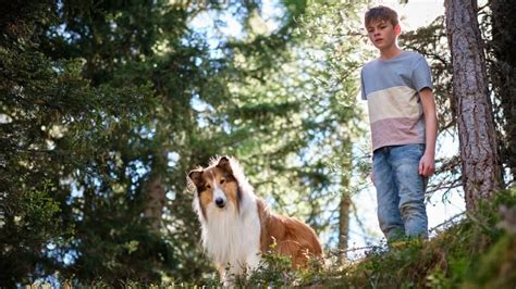 Lassie Una Nuova Avventura Streaming ITA In HD Altadefinizione Nuovo