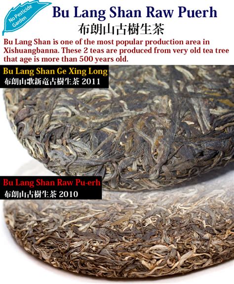 Bu Lang Shan Raw Tea Hojo Tea