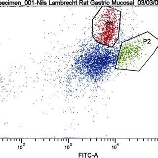 Flow Chamber Analysis During FACS Red Labeled Cells P1 Parietal