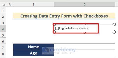 Create an Excel Data Entry Form That Includes Checkboxes