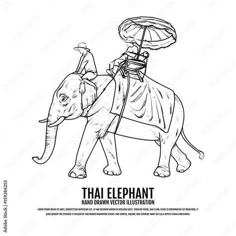 Thai Elephant. Elephant Hand Drawn vector Illustration. Travel Thailand Concept. Stock Vector ...