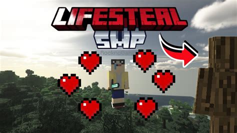 How I Got Max Hearts On This Lifesteal Smp In Minecraft Youtube