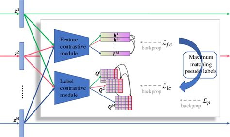 The Framework Of Cmmc A Feature Contrastive Module Is Proposed To Download Scientific Diagram